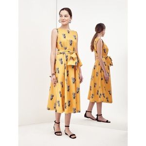 Ann Taylor Pineapple Print Dress